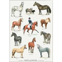 Koustrup & Co. Horses and Ponies Plakat 42x59.4cm