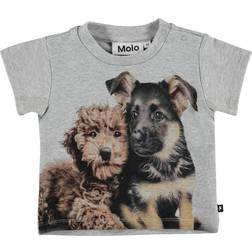 Molo Emilio - Pups Mates (3S22A205 7660)