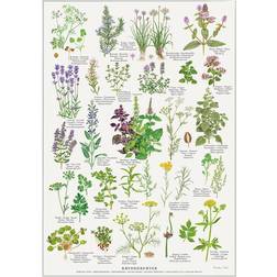Koustrup & Co. A4 Spiced Herbs Plakat 21x29.7cm