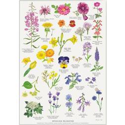 Koustrup & Co. A4 Edible Flowers Plakat 21x29.7cm
