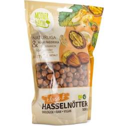 Mother Earth Hazelnuts Premium ME Eco 500g