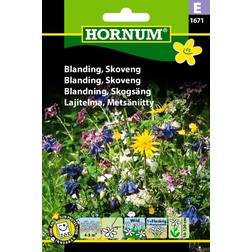 Hornum Blanding Skoveng