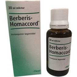 Biovita Berberis-Hommaccord 100 ml