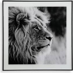 Versa Painting Lion Crystal (2 x 50 x 50 cm) Framed Art 50x50cm