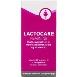 Lactocare Feminine 30 stk
