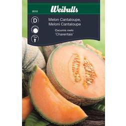 Weibulls Melon Cantaloupe