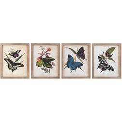 Dkd Home Decor Sommerfugle Shabby Chic (40 x 2 x 50 cm) (4 enheder) Plakat