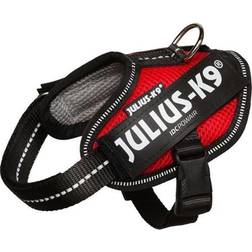 Julius-K9 IDC® POWAIR harness