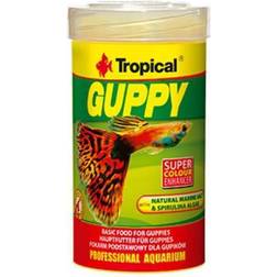 Tropical Guppy 100