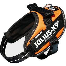 Julius-K9 IDC harness size. 1