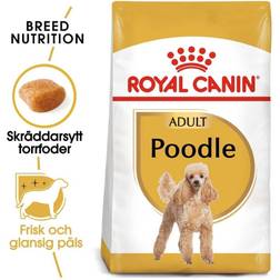 Royal Canin Poodle Adult Dry 1.5kg