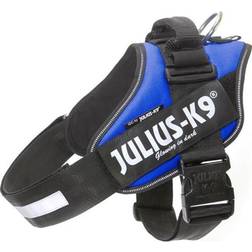 Julius-K9 IDC-harness