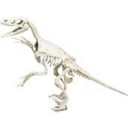 Clementoni Velociraptor, Skelet, Palæontologi, 6 År, Hvid