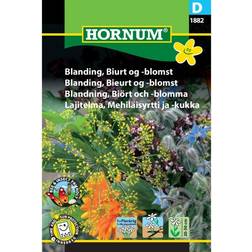 Hornum Blanding, Biurt -blomst D 1882