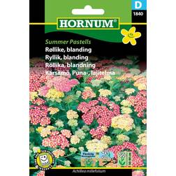 Hornum Røllike frø, Summer Pastells blanding