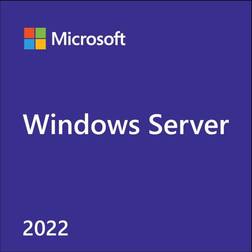 Microsoft Windows Server CAL 2022 Client Access License (CAL) 1 licens(er)