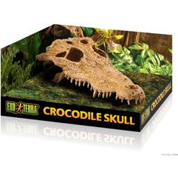 Exoterra Fantastisk Krokodille Cranium
