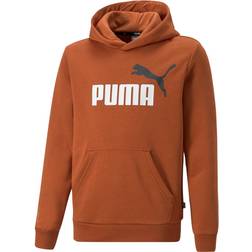 Puma Kid's Essential 2 Colour Big Logo Hoodie - Brown (586987-81)