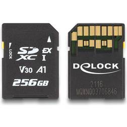 DeLock SD Express Hukommelseskort 256 GB