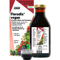 Salus Floradix Vegan 250