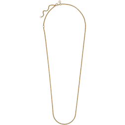 Pandora Rolo Chain Necklace - Gold