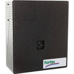 Fortes Energy Systems Fortes hoval homeheat s-2