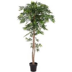 Europalms Ficus Longifolia. 165 Cm. Kunstig plante