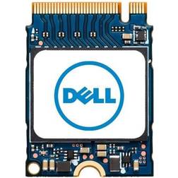 Dell 512 GB Rugged Solid State Drive M.2 2230 Internal PCI Express