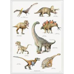 Koustrup & Co. A2: Dinosaur Plakat