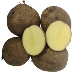 Læggekartofler 1,5 Kg. Middel tidlig 1000g
