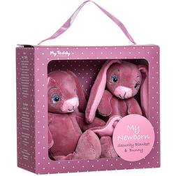 My Teddy Comforter & Small Rabbit Gift Box