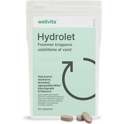 Wellvita Hydrolet 90 stk
