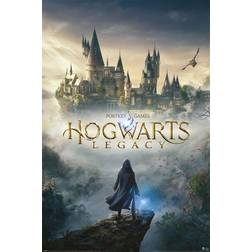 Harry Potter Hogwarts Legacy Pack Wizarding World Plakat