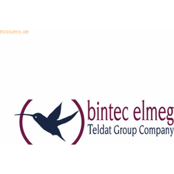Bintec Elmeg license IPSEC-CLIENT1-UPDATE