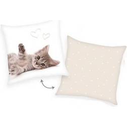 Herding Kitten Sweat Dreams Pillow 40x40cm