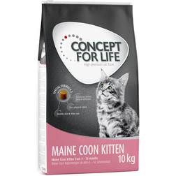 Concept for Life 2/3 store poser Maine Coon