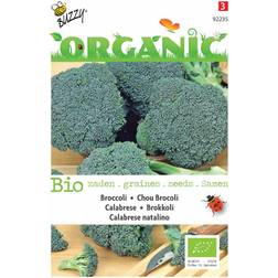 Økologisk, Broccoli frø, Calabrese natalino