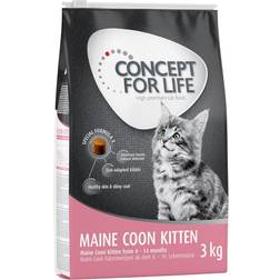 Concept for Life Maine Coon Kitten OPSKRIFT!