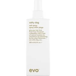 Evo Hair Style Salty Dog Salt Spray 200ml