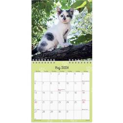 Mayland Vægkalender Kattekillinger 2024