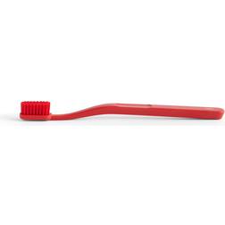 Hay Tann Toothbrushred W1 X L19