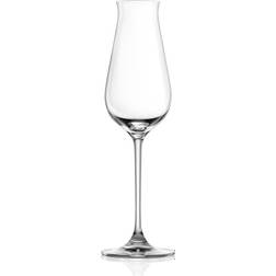 Lucaris Desire Champagneglas 24cl 6stk