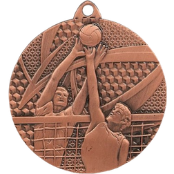 Ronze Medal Triumph Volleyball