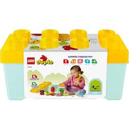 Lego Duplo Organic Garden 10984