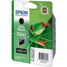 Epson C13T05414020 (Photo Black)