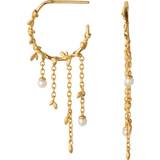 Smykker ByBiehl Jungle Ivy Hoop Earrings - Gold/Pearls