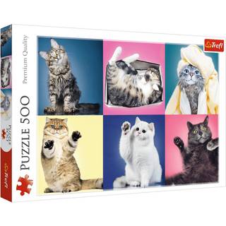 Trefl Kittens 500 Pieces