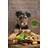 Plant Based Recipes for Dogs Nutritional Lifestyle Guide (Hæftet, 2015)