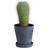 Hay Flower Pot with Saucer S ∅11cm