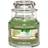 Yankee Candle Vanilla Lime Small Duftlys 104g